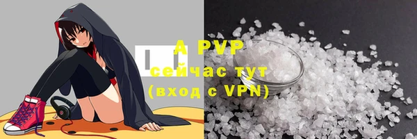 первитин Богданович