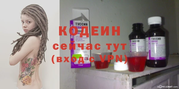 гашик Дегтярск