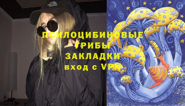 первитин Богданович