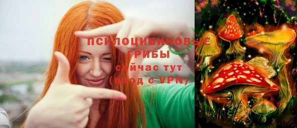 соль курить ск Богородицк